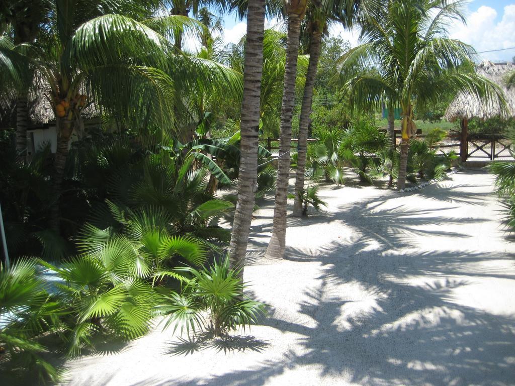 Beach Guesthouse Holbox Apartments & Suites Exterior foto