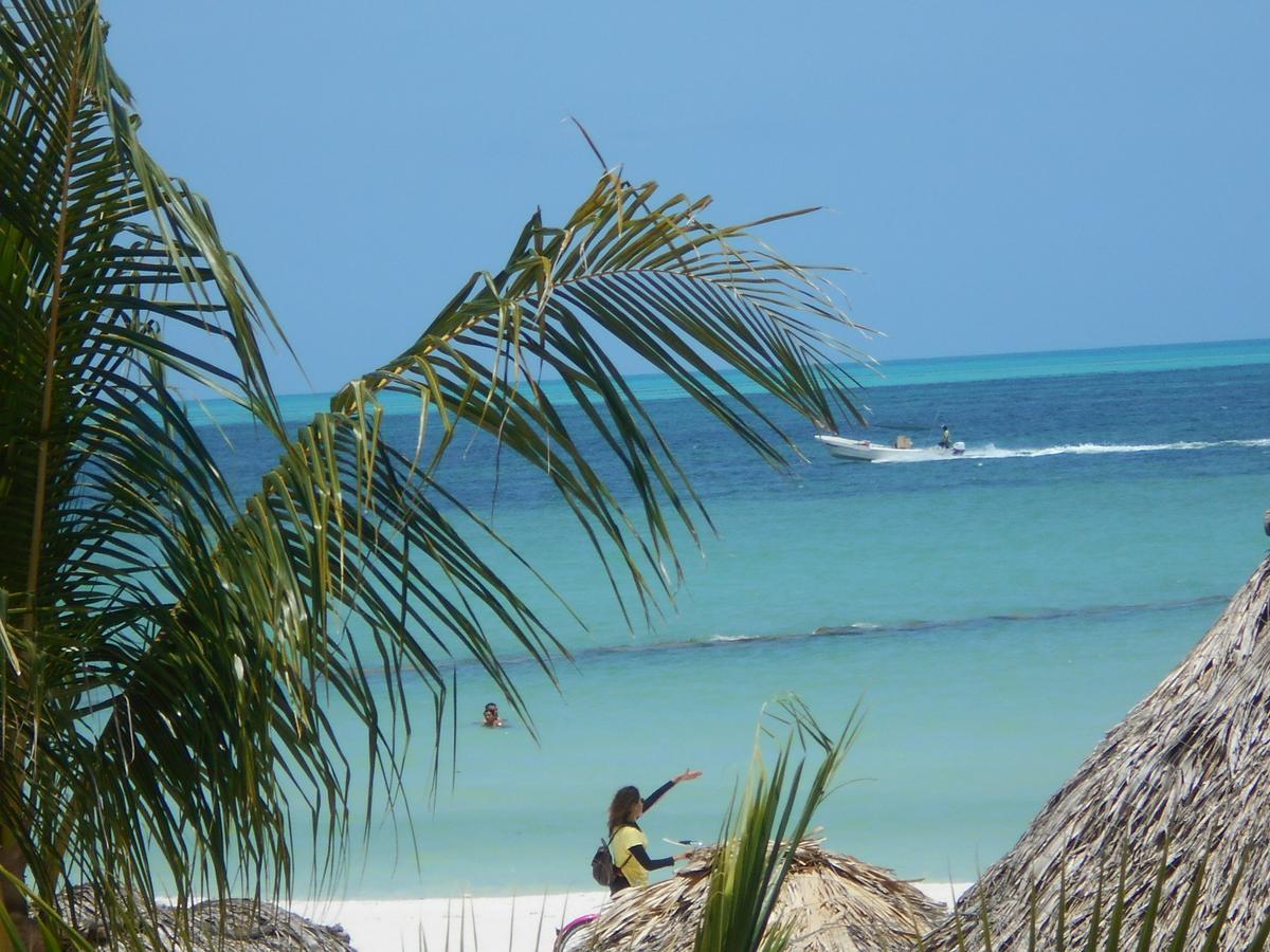 Beach Guesthouse Holbox Apartments & Suites Exterior foto